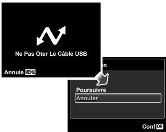 OLYMPUS VG-130 - Pour annuler l'impression - 1