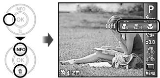 OLYMPUS VG-130 - Prise de vue en gros plan - 1