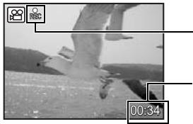 OLYMPUS Μ 1030 SW - Enregistrement de vidéos - 1