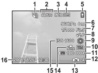 OLYMPUS Μ 1030 SW - - Écran ACL - Mode d'affichage - 1