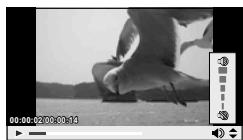 OLYMPUS E-PL5 - Volume - 1