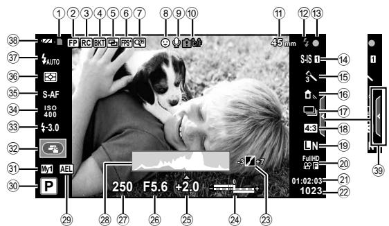 OLYMPUS E-PL5 - Affichage de I'ecran pendant la prise de vue - 1