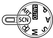 OLYMPUS E-PL5 - Prise de vues panoramicques - 1