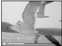 OLYMPUS VG-150,  VG-180 - Opérations lors de la lecture de video - 1