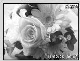 OLYMPUS TG - Appuyez sur les touches de zoom. - 2