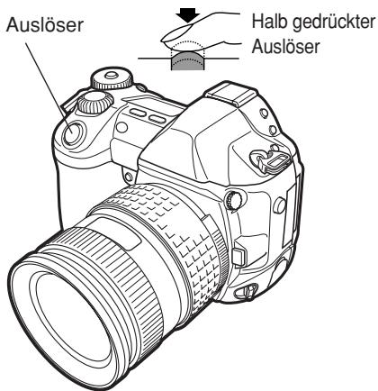 OLYMPUS CAMEDIA E-1 - Richten Sie das AF-Messfeld auf das scharf zu stellende Motiv. Drücken Sie den Auslöser halb hinunter. - 2