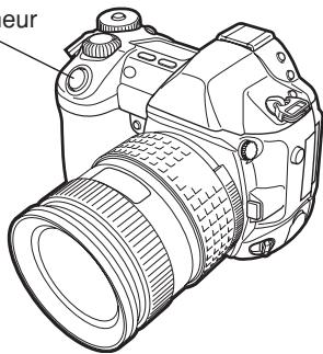 OLYMPUS CAMEDIA E-1 - Appuyer complètement sur le déclencheur. - 2