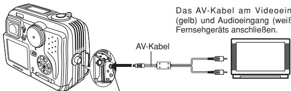 OLYMPUS D-40ZOOM - Sicherstellen, dass Fernsehgerät und Kamera ausgeschaltet sind. - 1