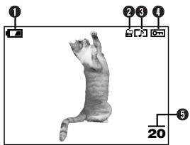 OLYMPUS D-40ZOOM - Información de la reproducción de imágenes de vídeo - 1