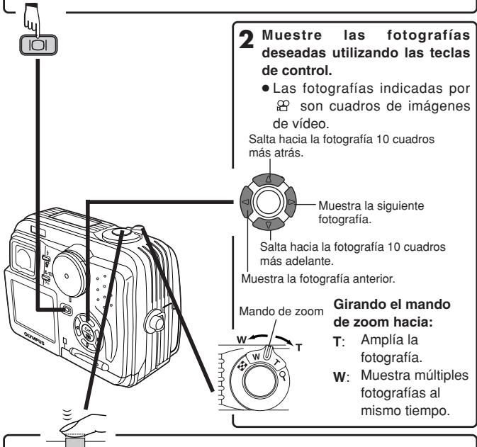 OLYMPUS D-40ZOOM - Visualización de fotografías fijas - 1