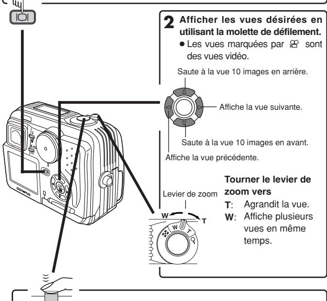 OLYMPUS D-40ZOOM - Visualisation de prise de vue - 1