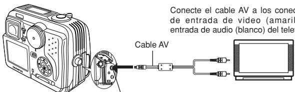 OLYMPUS D-40ZOOM - Asegúrese que el TV y la cámara estén encendidos. - 1
