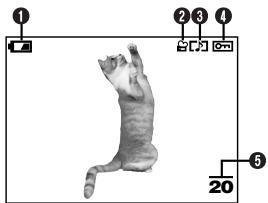 OLYMPUS D-40ZOOM - Movie playback information - 1