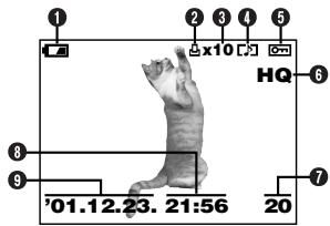 OLYMPUS D-40ZOOM - Still picture playback information - 1