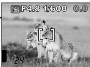 OLYMPUS D-40ZOOM - Diriger l'appareil sur le sujet et composer la vue tout en regardant sur l'écran ACL. - 1
