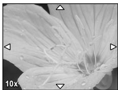 OLYMPUS E-P1 - Fonctionnement de l'affichage agrandi - 3