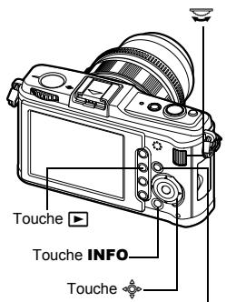 OLYMPUS E-P1 - Affichage d'une seule image/en gros plan - 2