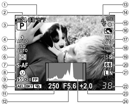 OLYMPUS E-P1 - Écran LCD (vue en direct) - 1
