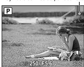 OLYMPUS E-P1 - Tout en appuyant sur le déclencheur à mi-course, déplacez la cible AF vers la composition souhaitee et appuyez complètement sur le déclencheur. - 2