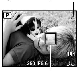 OLYMPUS E-P1 - Appuyez sur le déclencheur à mi-course. - 1