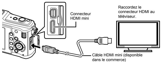 OLYMPUS E-P1 - Connexion via un cable AV - 2