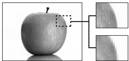 OLYMPUS E-P1 - JPEG - 1