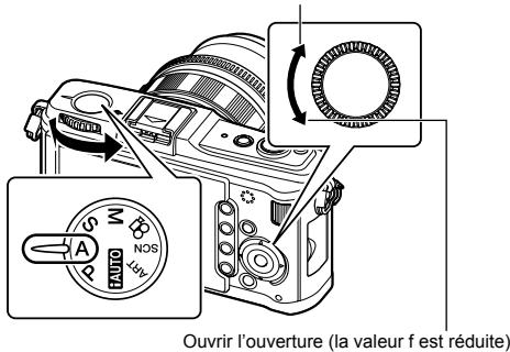 OLYMPUS E-P1 - Prise de vue priorité ouverture - 4