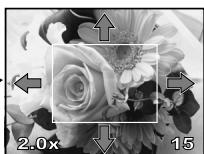 OLYMPUS E-P1 - Affichage d'une seule image/en gros plan - 7