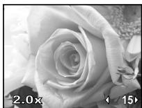 OLYMPUS E-P1 - Affichage d'une seule image/en gros plan - 9