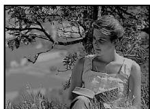 OLYMPUS E-P1 - PourExposition automatique bracketing - 1