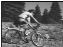 OLYMPUS E-P1 - Prise de vue priorité vitesse - 2