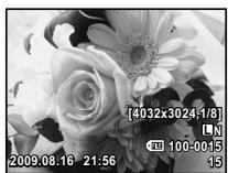 OLYMPUS E-P1 - Affichage d'une seule image/en gros plan - 4