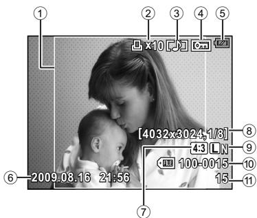 OLYMPUS E-P1 - Écran LCD (affichage) - 1