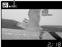 OLYMPUS E-P1 - Appuyez complètement sur le déclencheur pour arrêté l'enregistrement. - 3