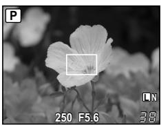 OLYMPUS E-P1 - Fonctionnement de l'affichage agrandi - 1