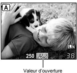 OLYMPUS E-P1 - Prise de vue priorité ouverture - 3