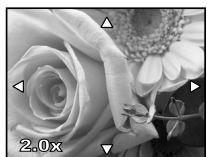 OLYMPUS E-P1 - Affichage d'une seule image/en gros plan - 6