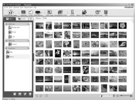 OLYMPUS E-P1 - Téléchargement et sauvegarde d'images - 1