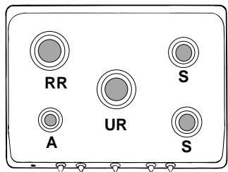 INDESIT P750S - Dieses Gerät entspricht den folgenden EG-Richtlinien: - 3
