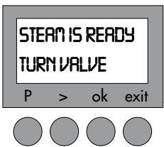 MAGIMIX 11419 - Steam - 6
