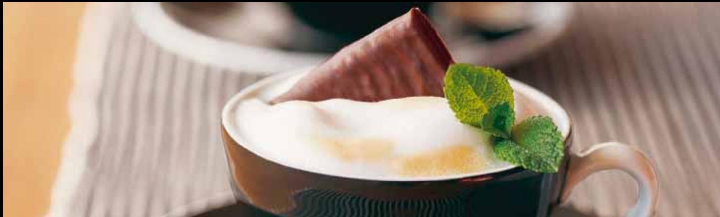 MAGIMIX M400 11 335, MAESTRIA M400 11330 - GOURMET RECIPES/LES RECETTES GOURMET - 1