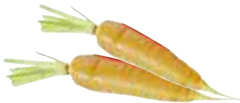 MAGIMIX C.S.4200 XL 18439F - Crème de chou-fleur aux petits lardons - 5