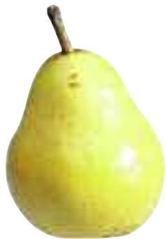 MAGIMIX C.S.4200 XL 18439F - Eventail d'ananas et melon - 11