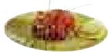MAGIMIX C.S.4200 XL 18439F - - Couteau métal - 2
