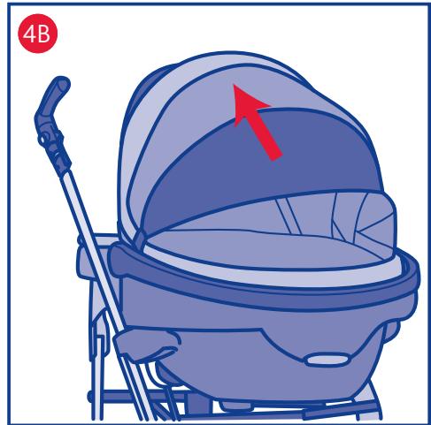 CHICCO SCOOP - 7