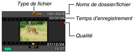 Type de fichier 100-0029 00:00:08 HG Noms de dossier/fichier Temps d'enregistrement Qualité 07/12/24 15:37
