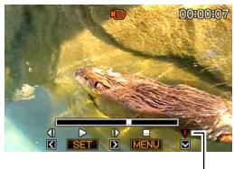 CASIO EX-Z65 - IMPORTANT! - 1