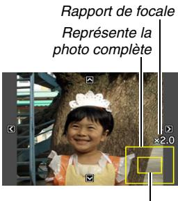 Rapport de focale Représente la photo complète