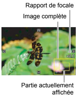 CASIO EX-S10 - Agrandissement d'une image affichée à l'écran - 1
