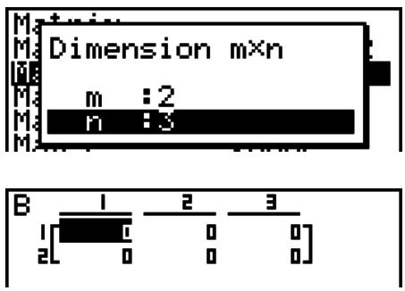 CASIO FX-9860G AU - - Pour spécifier les dimensions (la taille) d'une matrice - 3
